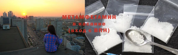 прущие грибы Беломорск