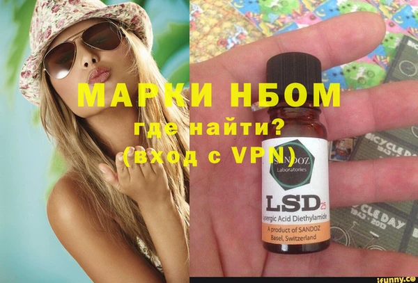 прущие грибы Беломорск