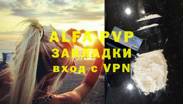 прущие грибы Беломорск