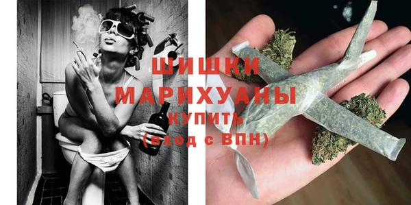PSILOCYBIN Белокуриха