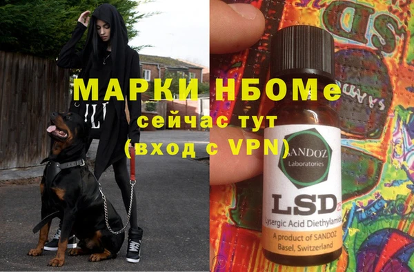 прущие грибы Беломорск