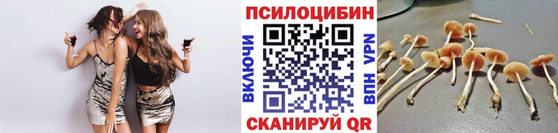 даркнет сайт  Краснотурьинск  Галлюциногенные грибы Magic Shrooms 